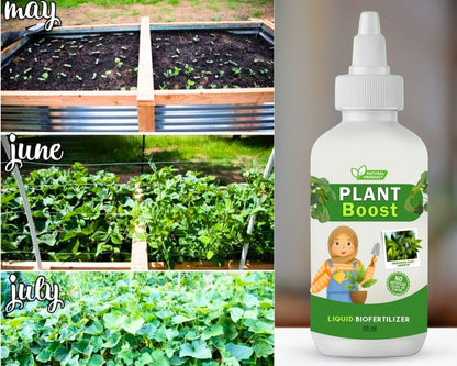 Organic Plant Booster (Pack of 4)